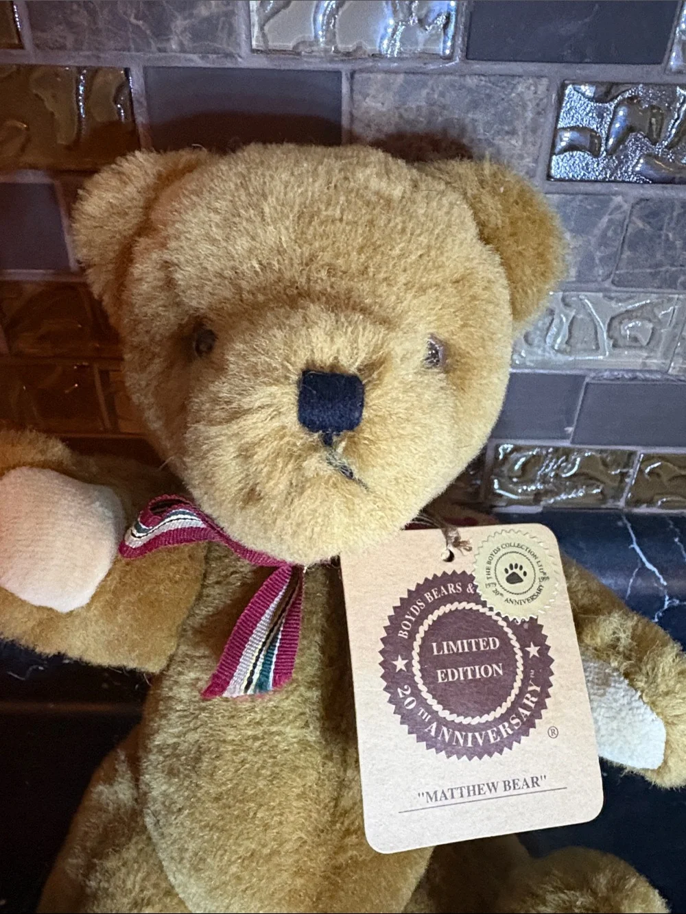 Boyd’s Matthew Bear
